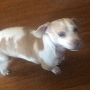 Meet your Posher, Angie